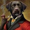 cdoggyd cdoggyd